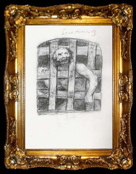 framed  Francisco Goya Loco furioso, ta009-2